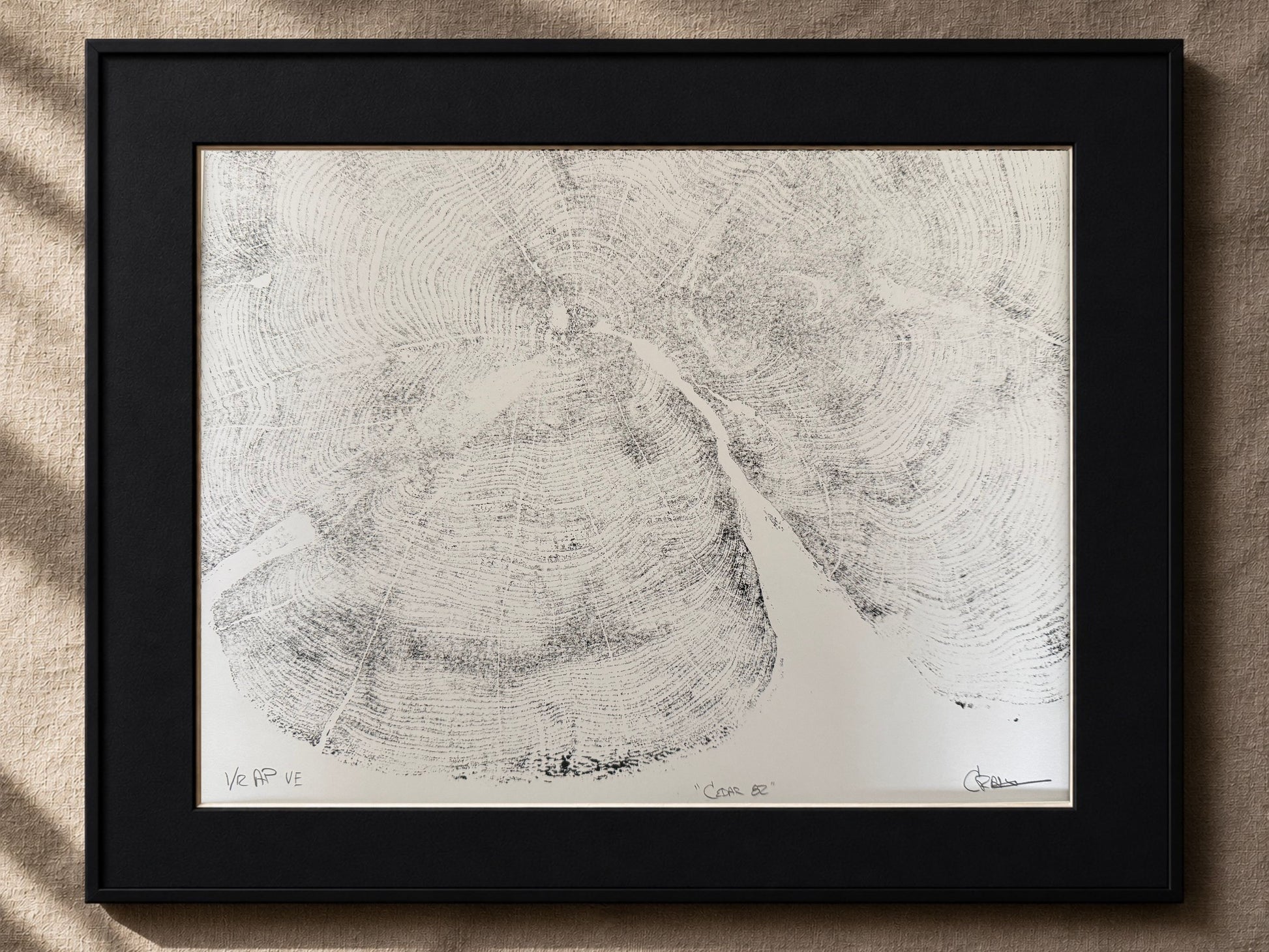 Framed artwork of a tree ring cross-section on a textured surface