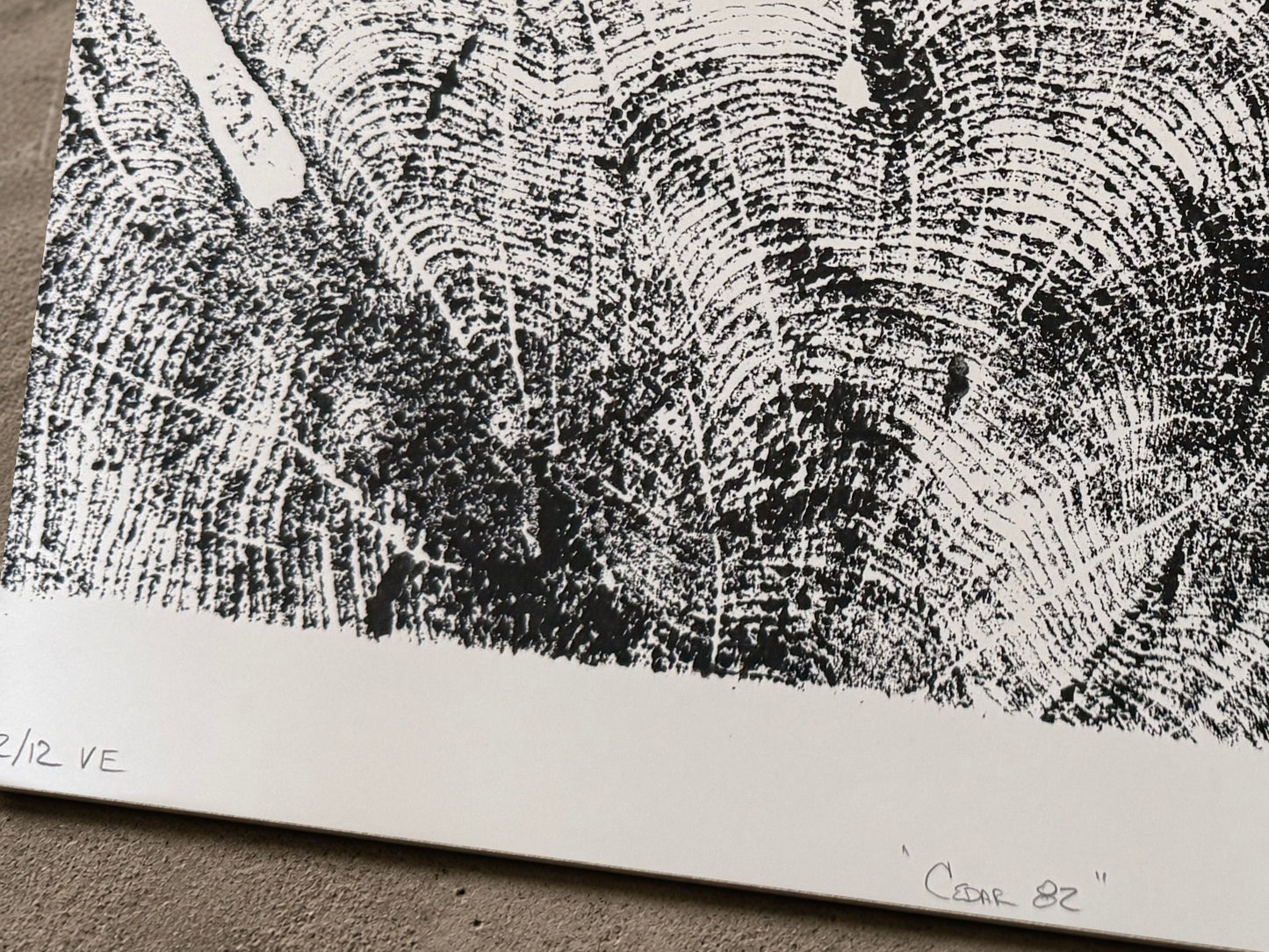 Wisconsin Cedar · 82 Rings · 2 of 12