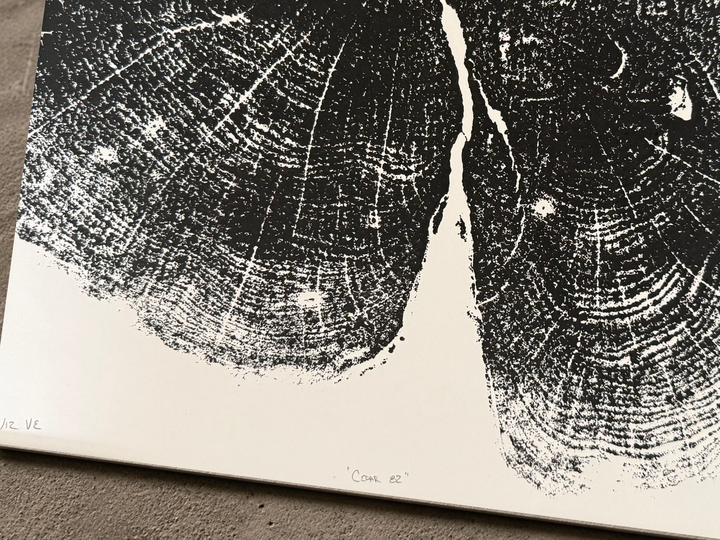 Wisconsin Cedar · 82 Rings · 8 of 12