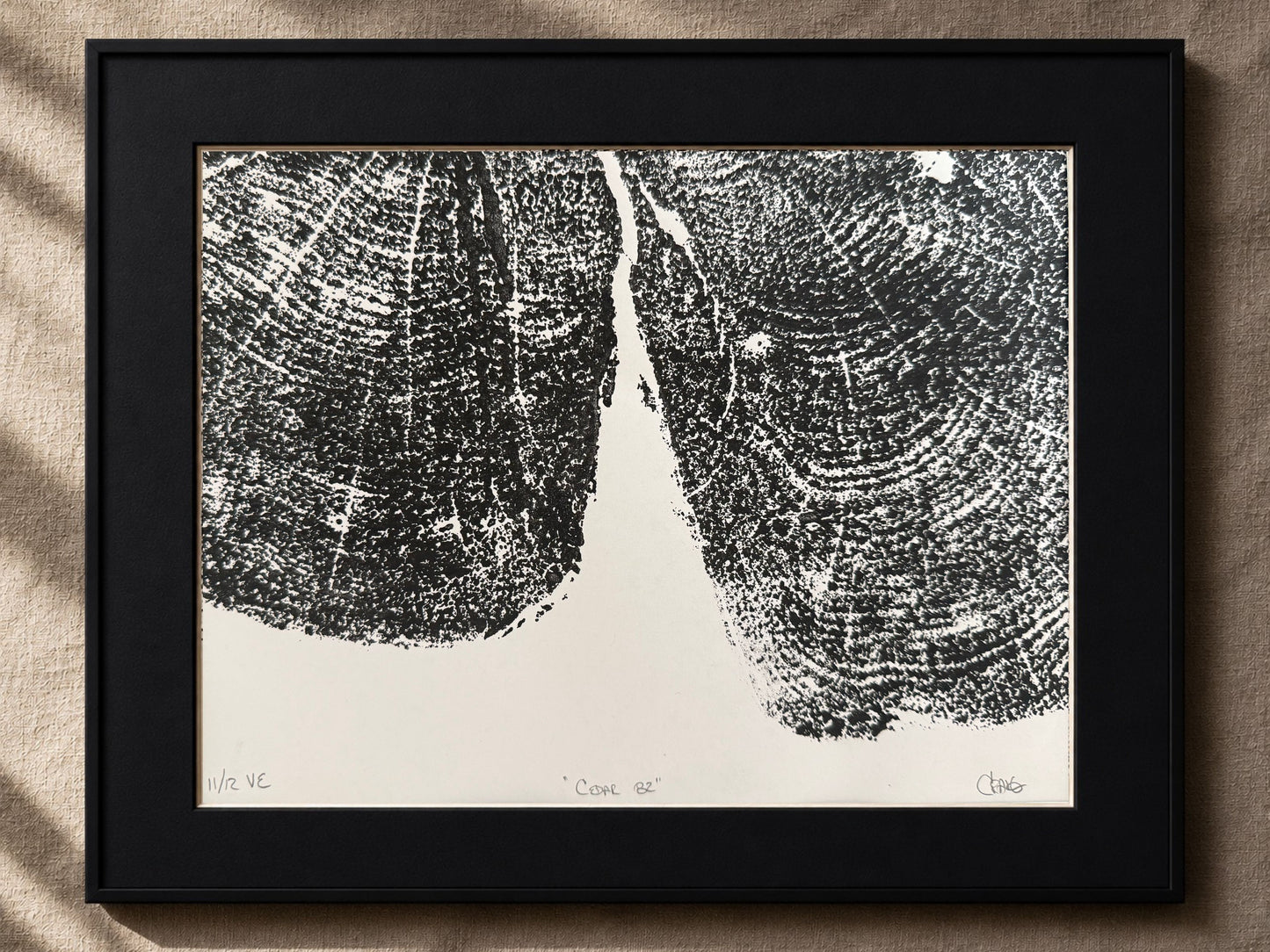 Wisconsin Cedar · 82 Rings · 11 of 12